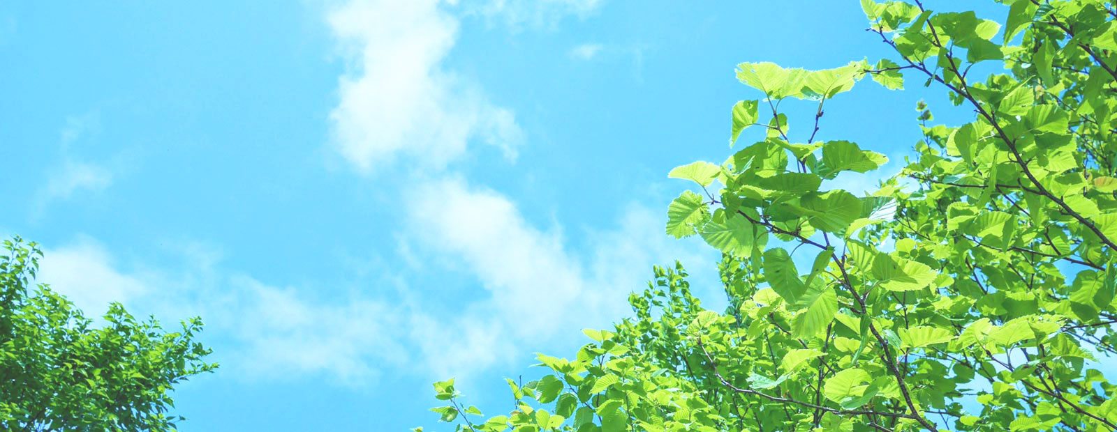 キービジュアルイメージ01